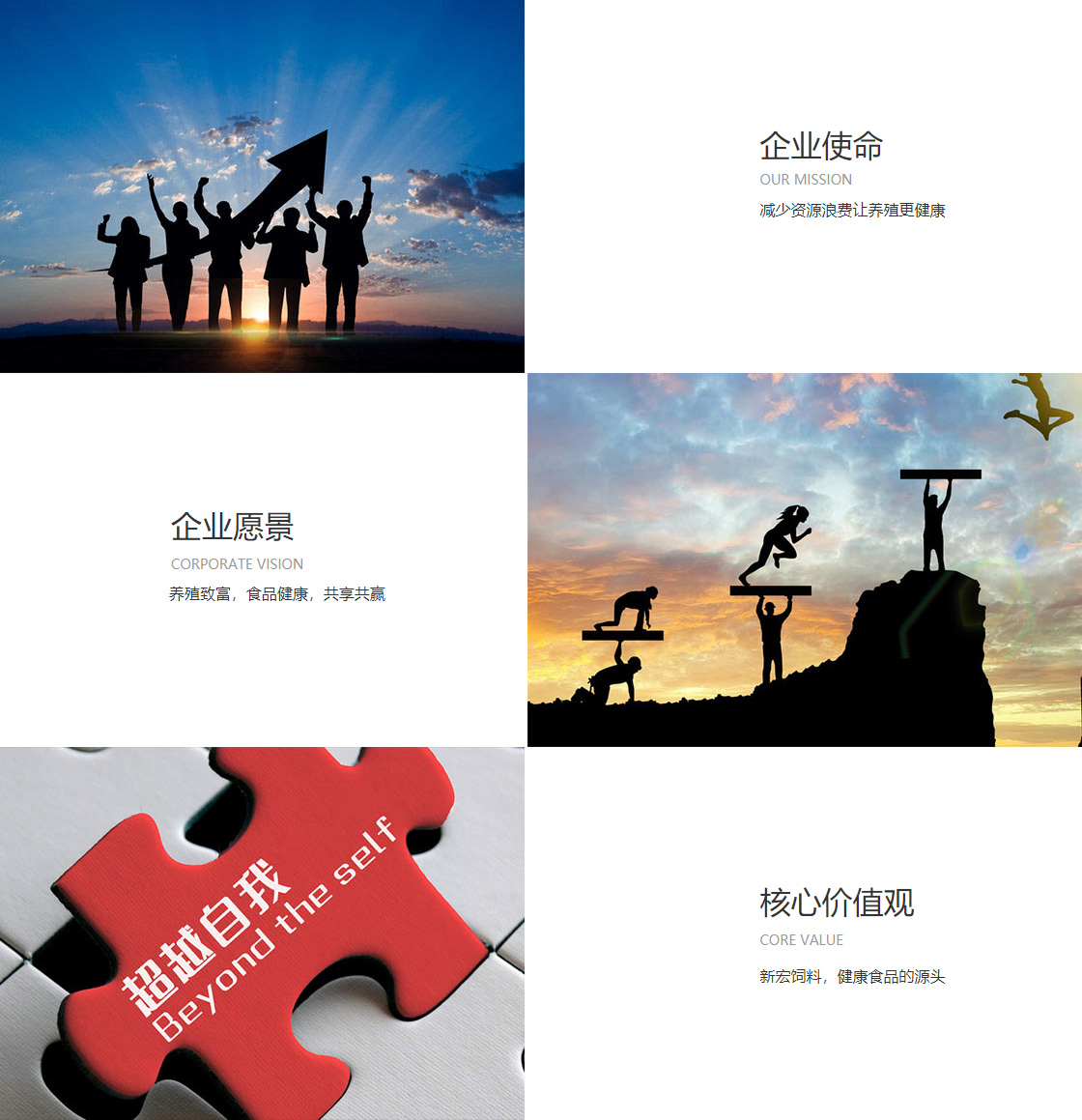 j9九游会官方登录(图1)